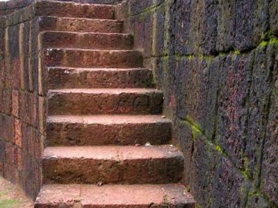 ChileGlobal Biotec: Country branding and scientific communication