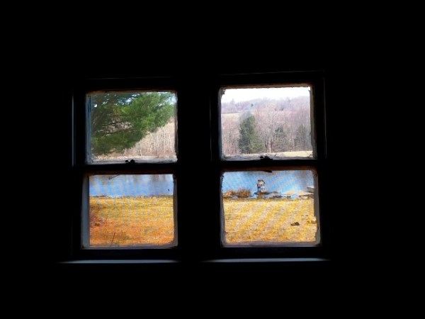 Allbiotech: América Latina, Líderes Biotec